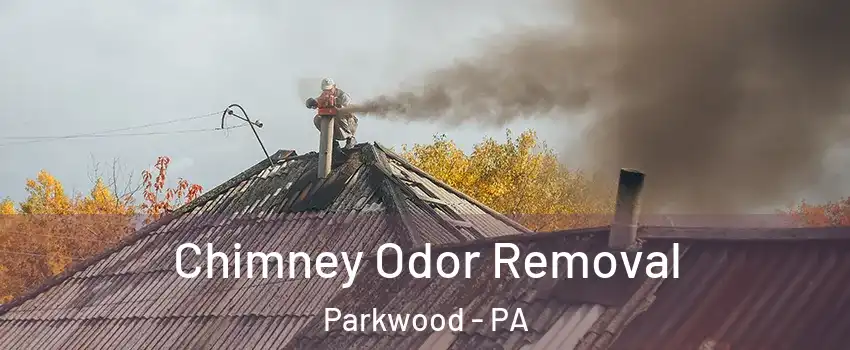 Chimney Odor Removal Parkwood - PA