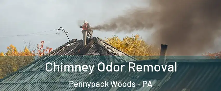 Chimney Odor Removal Pennypack Woods - PA