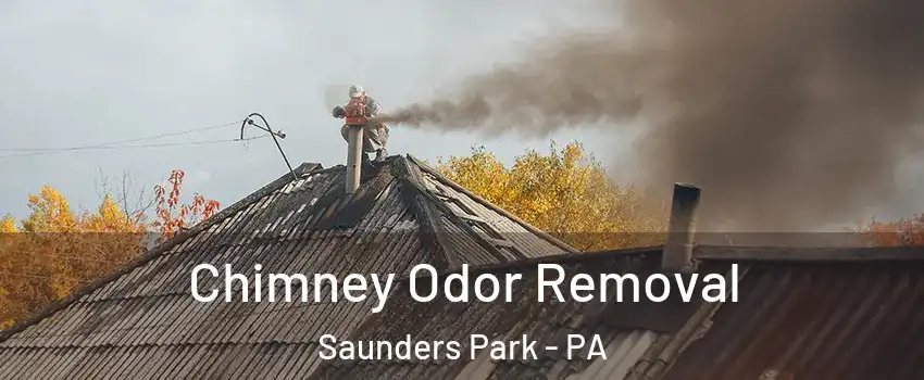 Chimney Odor Removal Saunders Park - PA
