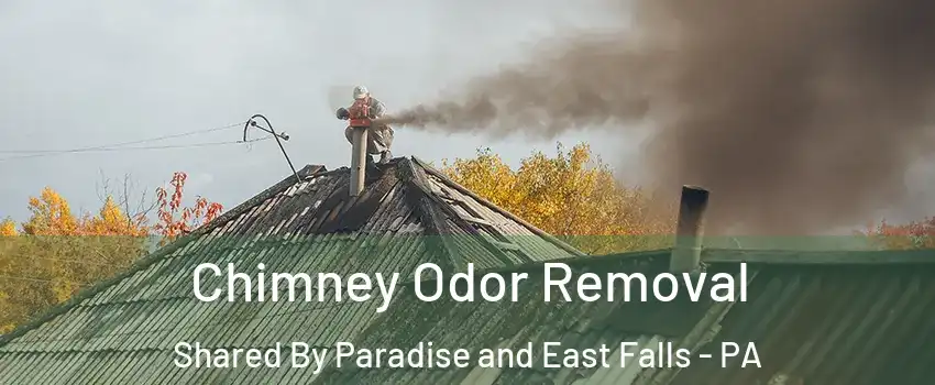 Chimney Odor Removal Shared By Paradise and East Falls - PA