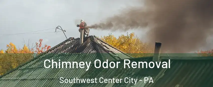 Chimney Odor Removal Southwest Center City - PA