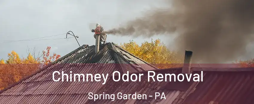 Chimney Odor Removal Spring Garden - PA