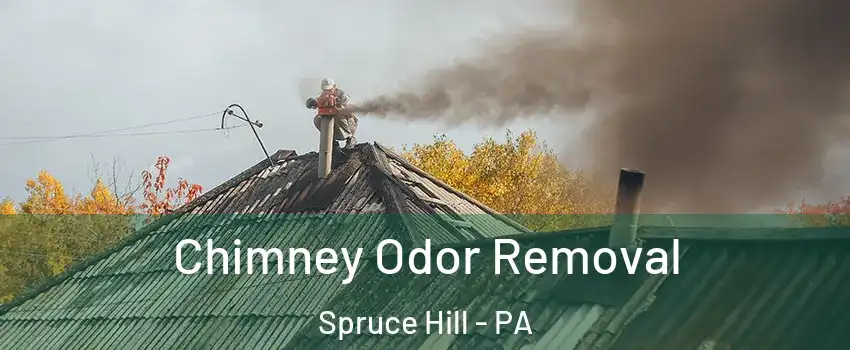 Chimney Odor Removal Spruce Hill - PA