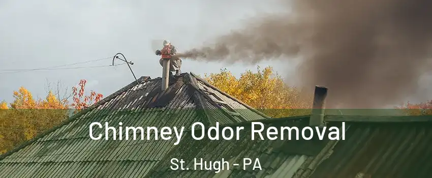 Chimney Odor Removal St. Hugh - PA