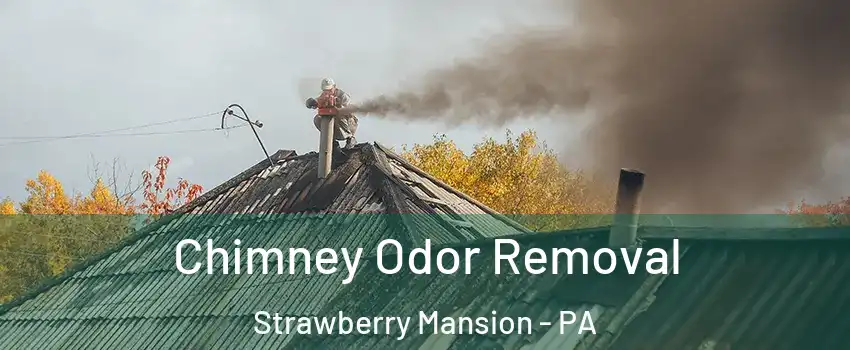 Chimney Odor Removal Strawberry Mansion - PA