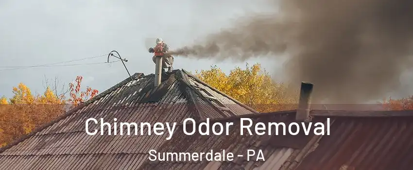 Chimney Odor Removal Summerdale - PA