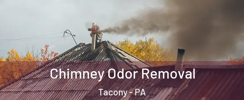 Chimney Odor Removal Tacony - PA