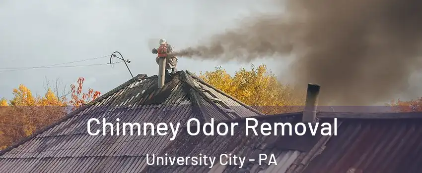 Chimney Odor Removal University City - PA