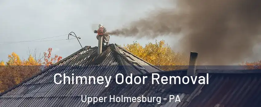 Chimney Odor Removal Upper Holmesburg - PA