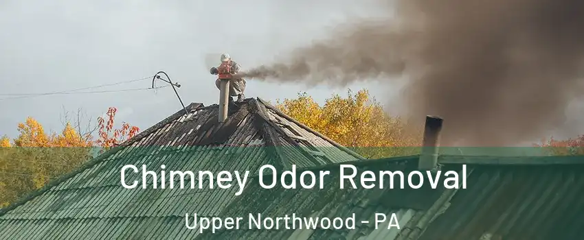 Chimney Odor Removal Upper Northwood - PA