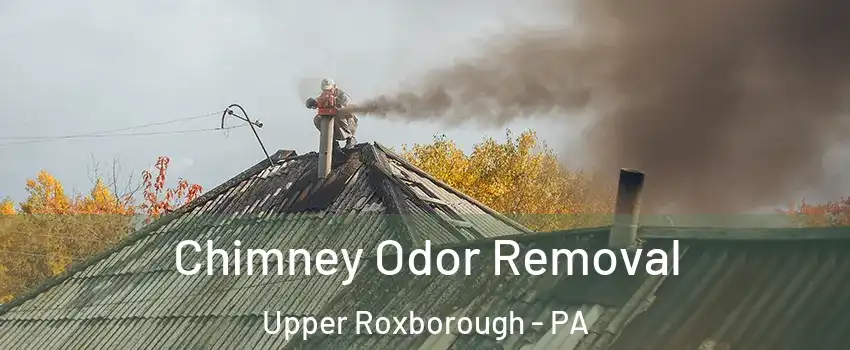 Chimney Odor Removal Upper Roxborough - PA