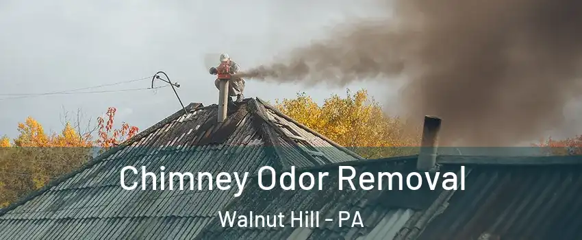 Chimney Odor Removal Walnut Hill - PA