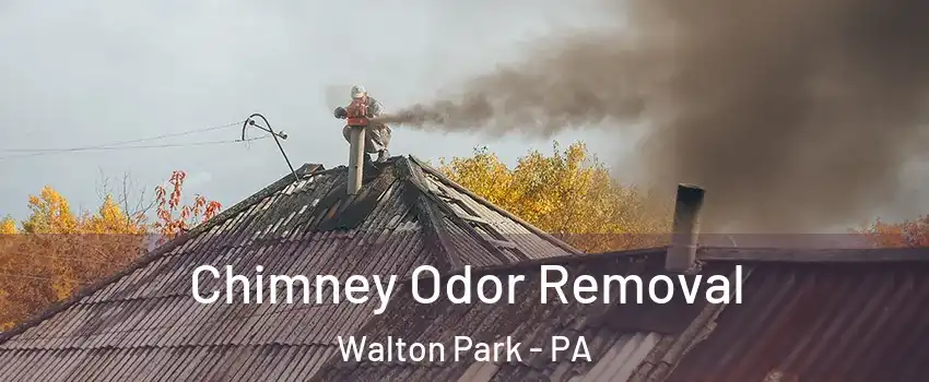 Chimney Odor Removal Walton Park - PA