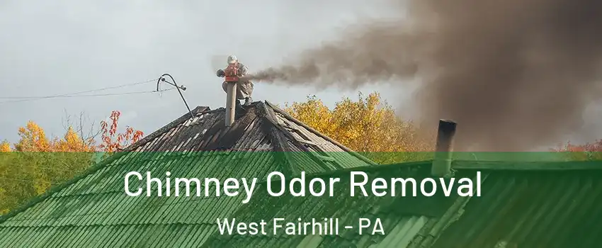 Chimney Odor Removal West Fairhill - PA