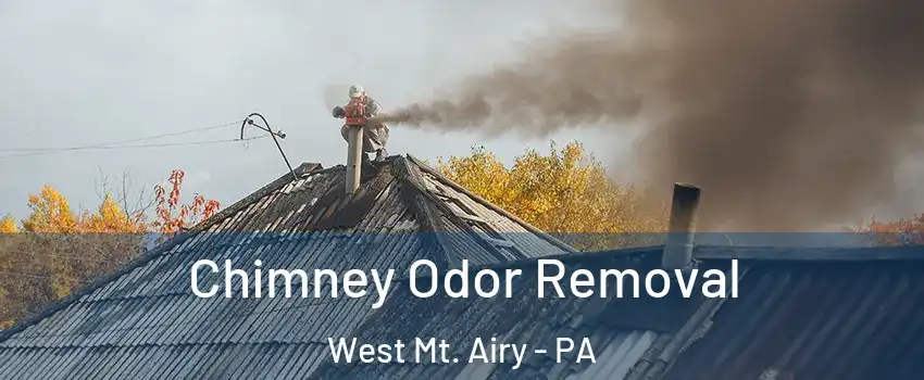 Chimney Odor Removal West Mt. Airy - PA