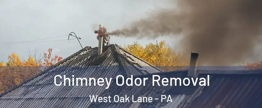 Chimney Odor Removal West Oak Lane - PA