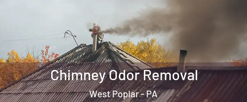 Chimney Odor Removal West Poplar - PA