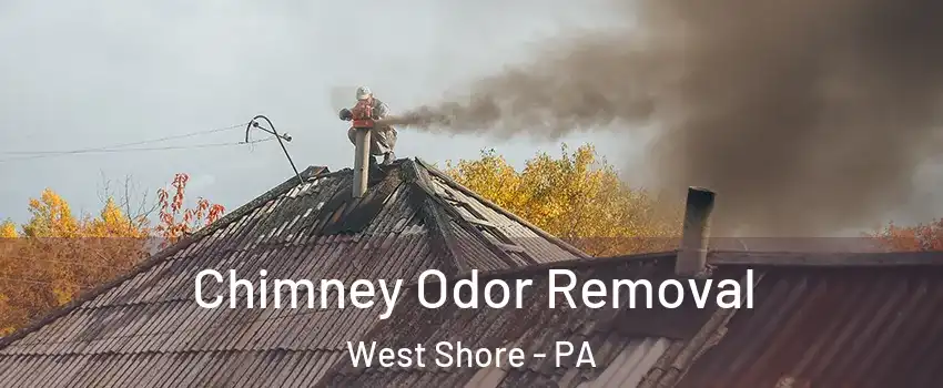 Chimney Odor Removal West Shore - PA