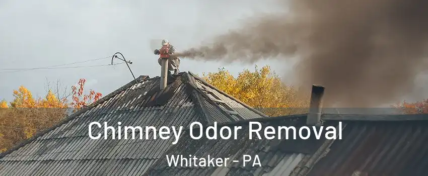 Chimney Odor Removal Whitaker - PA