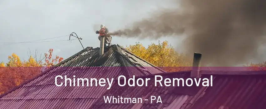 Chimney Odor Removal Whitman - PA