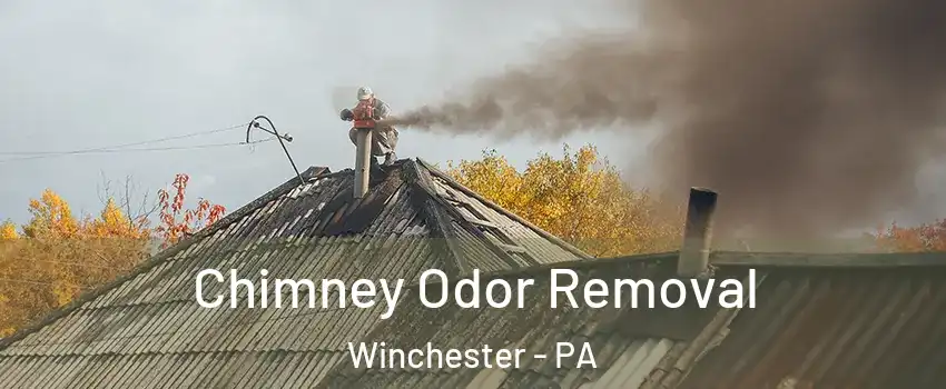 Chimney Odor Removal Winchester - PA