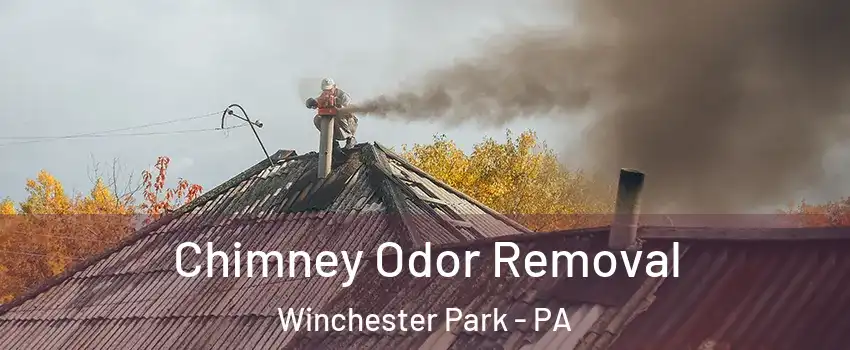 Chimney Odor Removal Winchester Park - PA