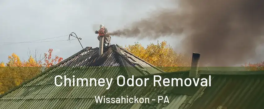 Chimney Odor Removal Wissahickon - PA