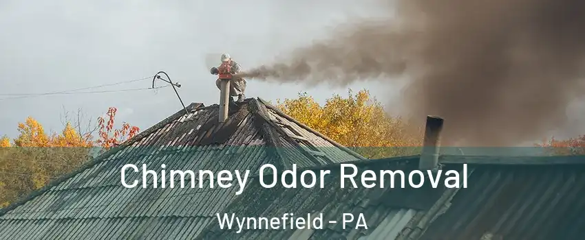 Chimney Odor Removal Wynnefield - PA