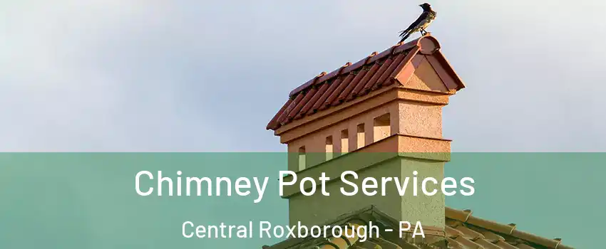Chimney Pot Services Central Roxborough - PA