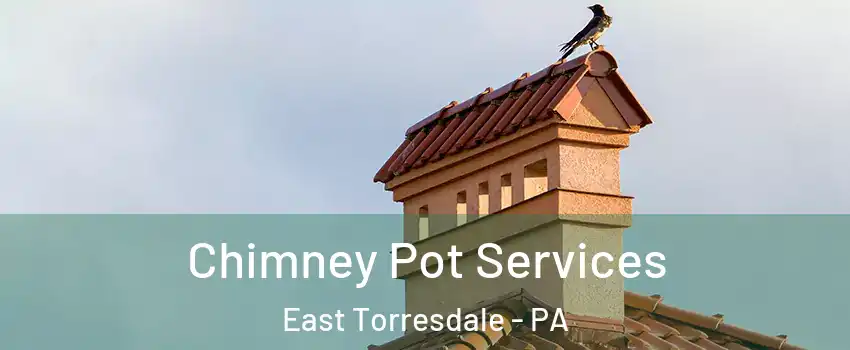 Chimney Pot Services East Torresdale - PA