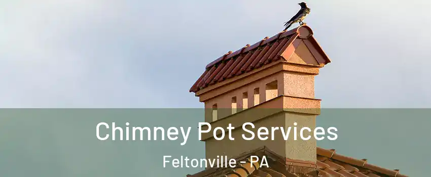 Chimney Pot Services Feltonville - PA