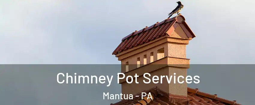 Chimney Pot Services Mantua - PA