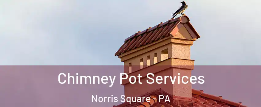 Chimney Pot Services Norris Square - PA