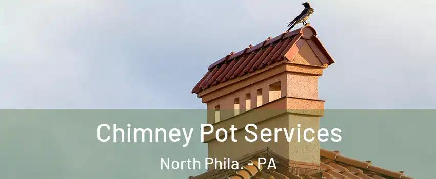 Chimney Pot Services North Phila. - PA