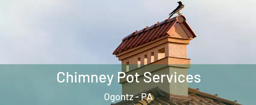 Chimney Pot Services Ogontz - PA
