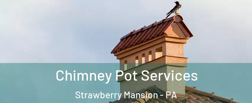 Chimney Pot Services Strawberry Mansion - PA
