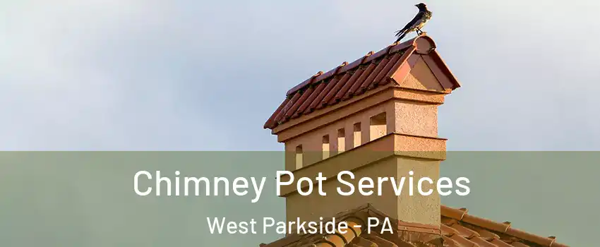 Chimney Pot Services West Parkside - PA