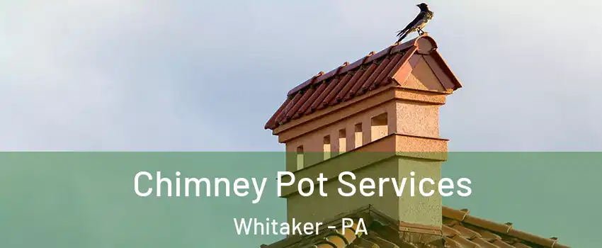 Chimney Pot Services Whitaker - PA