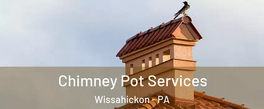 Chimney Pot Services Wissahickon - PA
