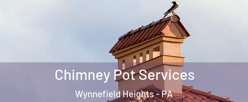 Chimney Pot Services Wynnefield Heights - PA