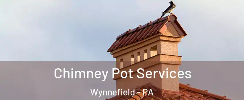 Chimney Pot Services Wynnefield - PA