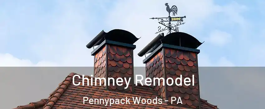 Chimney Remodel Pennypack Woods - PA