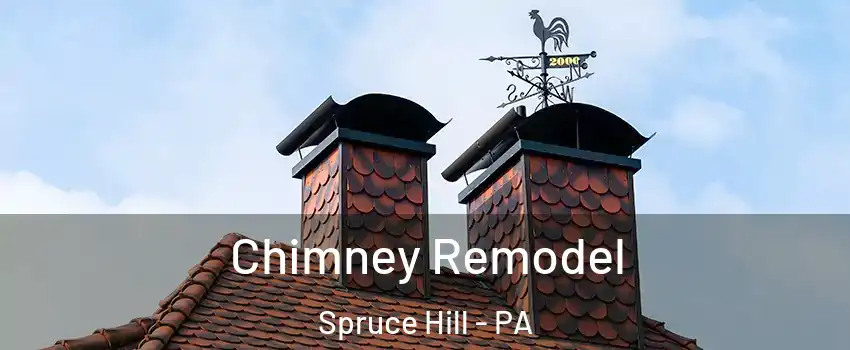 Chimney Remodel Spruce Hill - PA