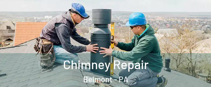 Chimney Repair Belmont - PA