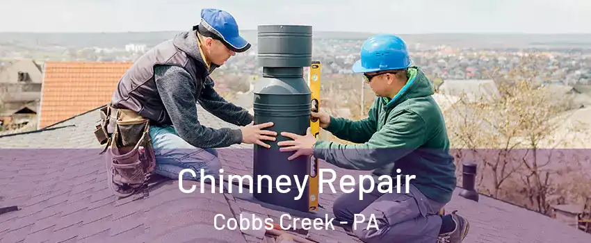 Chimney Repair Cobbs Creek - PA