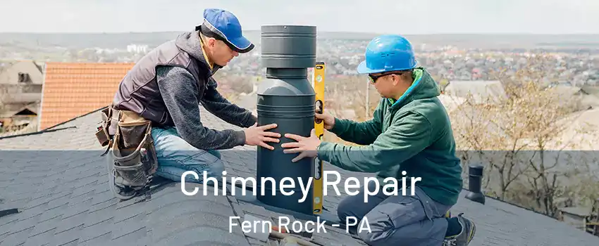 Chimney Repair Fern Rock - PA