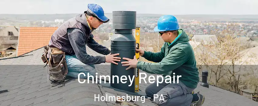 Chimney Repair Holmesburg - PA