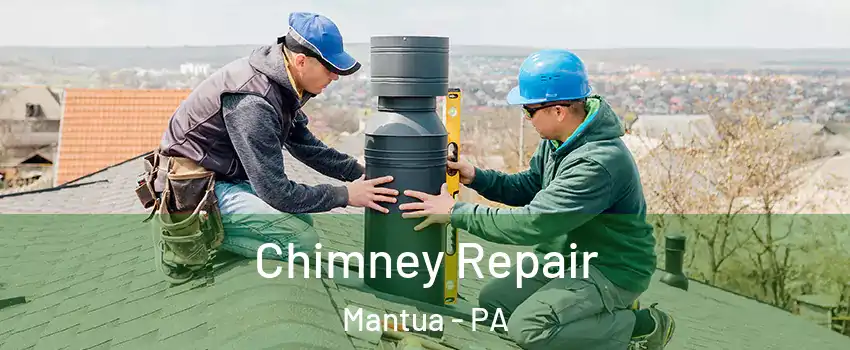 Chimney Repair Mantua - PA