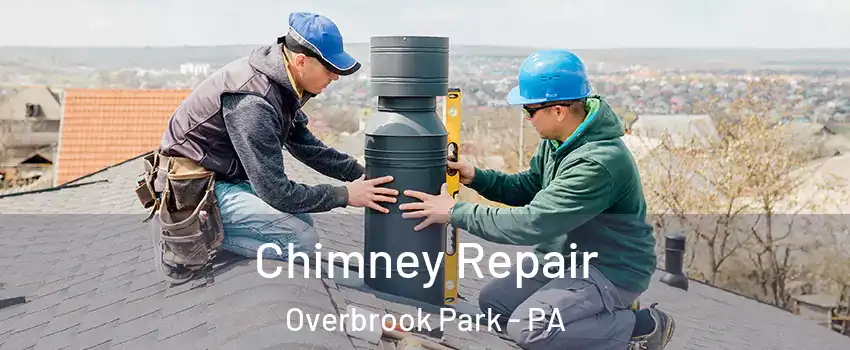 Chimney Repair Overbrook Park - PA