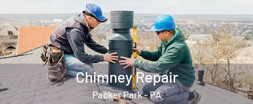 Chimney Repair Packer Park - PA